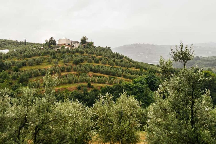 Florence: Countryside Vintage Fiat 500 Driving Tour - Price and What You Actually Get for $153