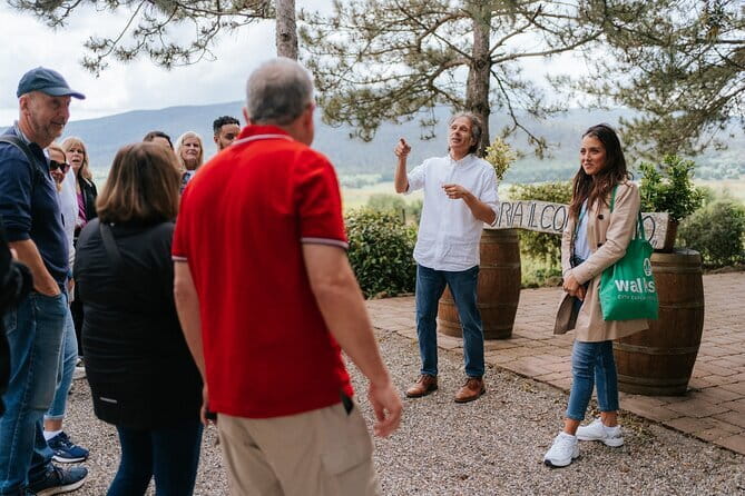 Florence Day Trip: Chianti Wine Tasting, Siena, San Gimignano - Getting out of Florence smoothly: air-conditioned vans and short transfers