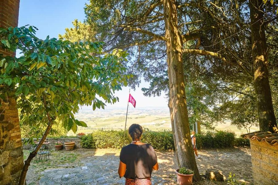 Florence: Orcia Valley, Montalcino, Pienza with Lunch & Wine - Temple of Brunello Museum: Where Brunello Becomes Understandable