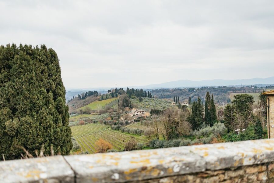 Florence: Pisa, Siena, San Gimignano, and Chianti Experience - Siena With a Guide: Piazza del Campo to the Cathedral Zone