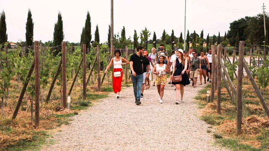 Florence: S. Gimignano, Siena, Chianti & Wine Tasting Lunch - Who should book this day trip, and who should skip it