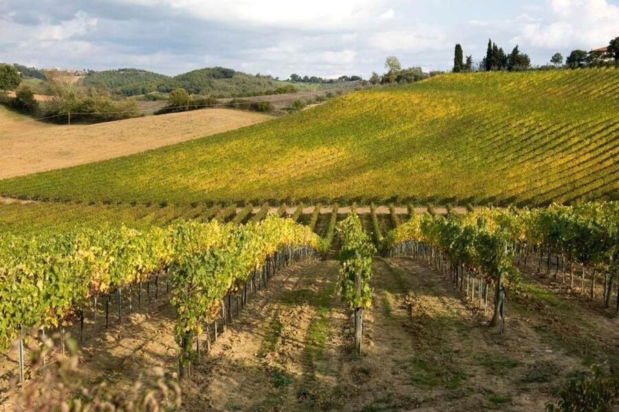 Florence: Siena & San Gimignano Day Trip with Lunch & Wine - San Gimignano Free Time: Towers, Narrow Streets, and 90 Minutes to Wander