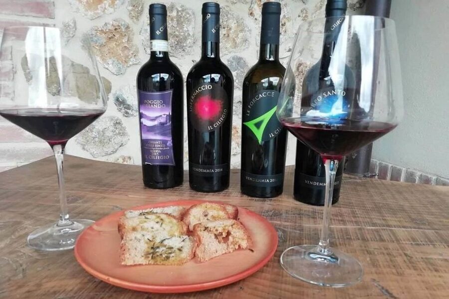 Florence: Siena & San Gimignano Day Trip with Lunch & Wine - Should You Book This Florence to Siena and San Gimignano Trip?