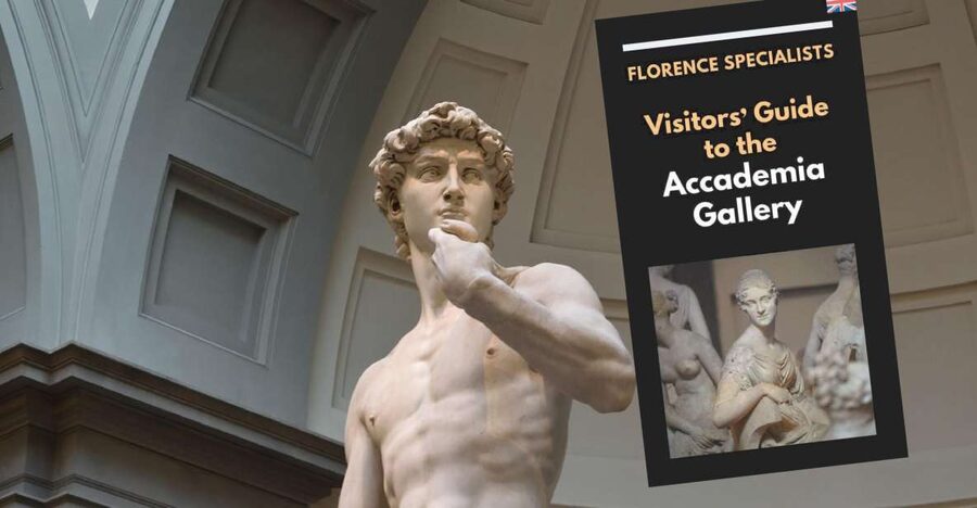 Florence: Timed Entry Ticket to Michelangelo's David & eBook - How long to plan, and what crowd control feels like