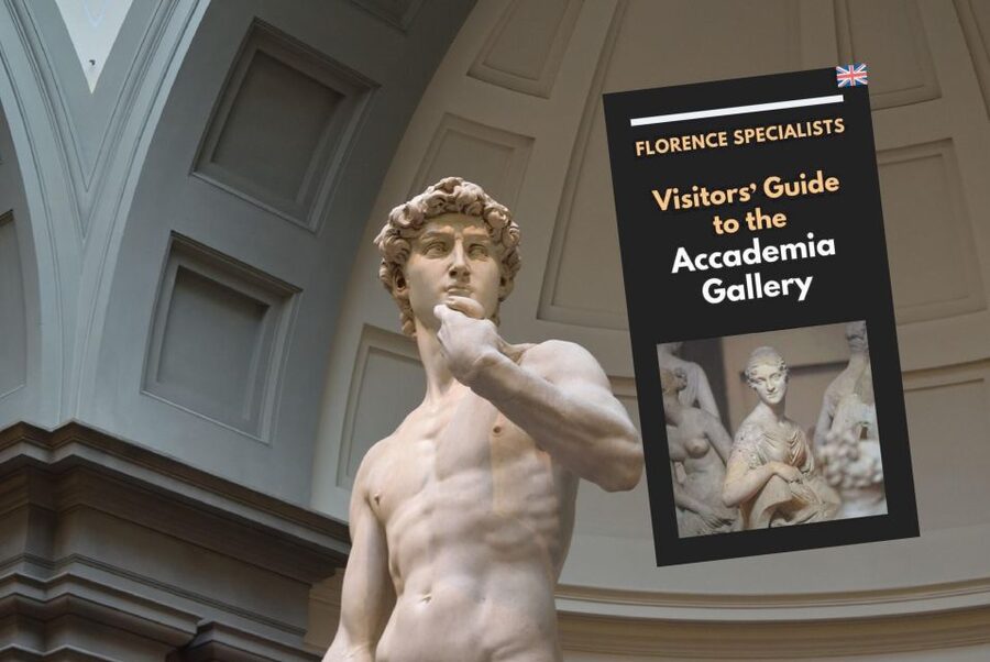 Florence: Timed Entry Ticket to Michelangelo's David & eBook - David in the main hall: what you’ll actually experience
