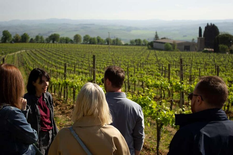 Florence: Valdorcia Wine, Brunello Montalcino, Montepulciano - Pienza Lunch in a 15th-Century Convent Garden and Pecorino Shopping