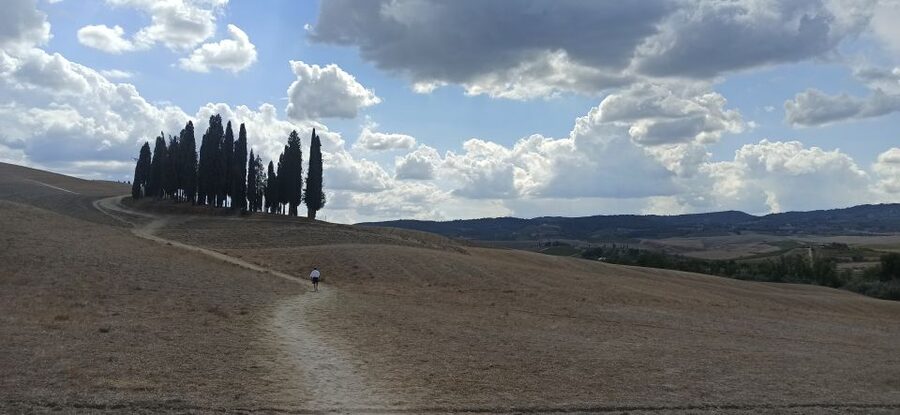 Florence: Valdorcia Wine, Brunello Montalcino, Montepulciano - Price and Value: What $265 Gets You (and Why It Adds Up)
