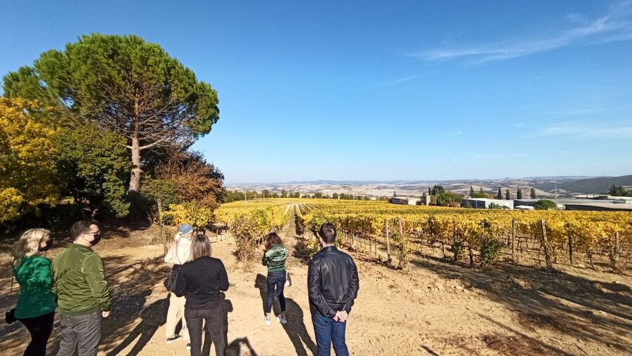 Florence: Valdorcia Wine, Brunello Montalcino, Montepulciano - Who This Tour Suits Best, and Who Might Want Another Plan