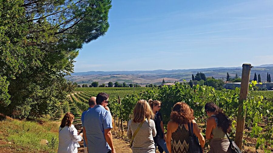 Florence: Valdorcia Wine, Brunello Montalcino, Montepulciano - Should You Book This Florence to Val d’Orcia Wine Day Trip?