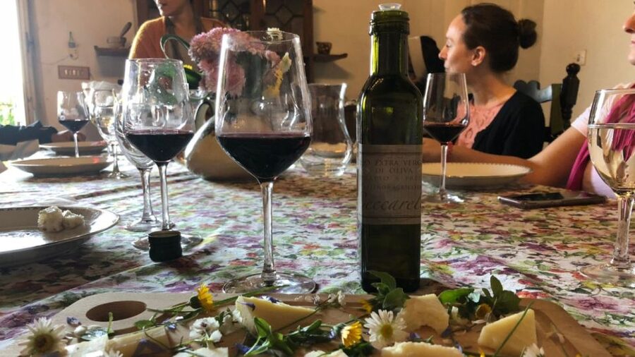 Frascati Wine Road from Rome: Tasting & Lunch - Key highlights to know before you go