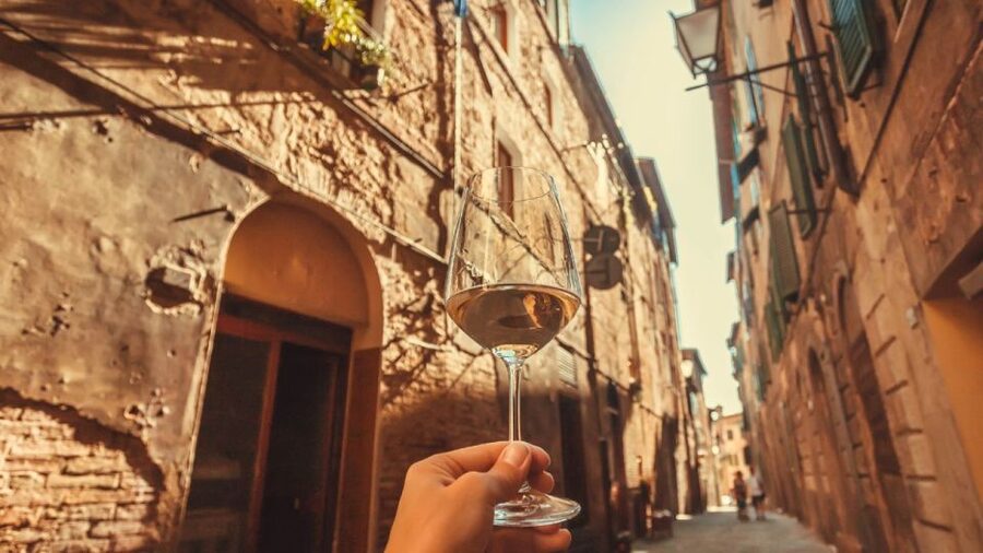 Frascati Wine Road from Rome: Tasting & Lunch - The vineyard walk and hillside tasting with Rome in view