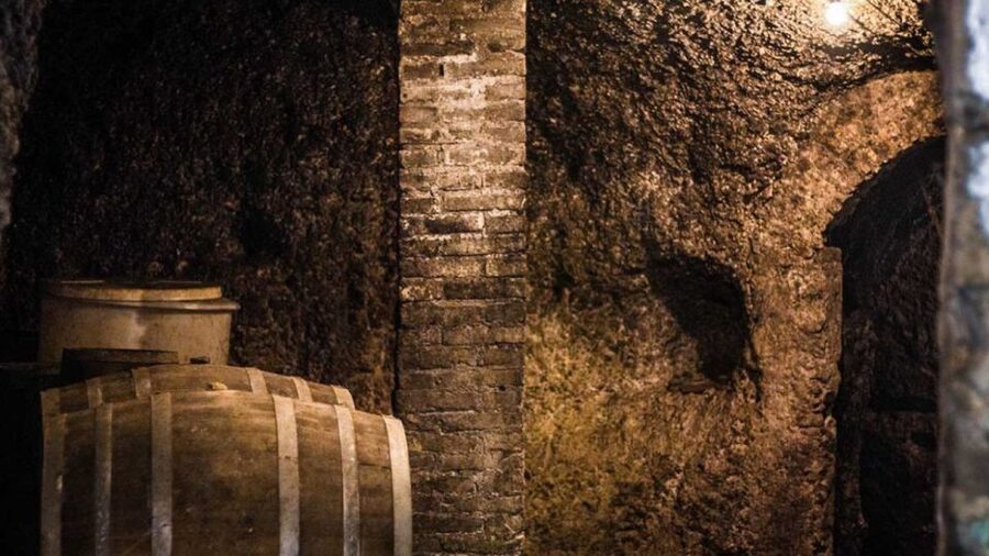 Frascati Wine Road from Rome: Tasting & Lunch - Price and value: is $109 a fair deal?