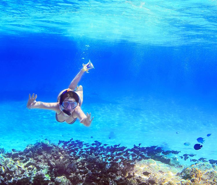 From Amalfi: Capri Island Boat Tour with Snorkeling & Drinks - Key takeaways before you book