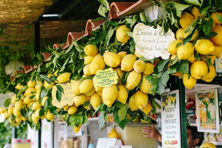 From Amalfi: Li Galli Islands and Capri Full-Day Boat Tour - Price and value: $236.77 plus the 5 EUR cash destination fee