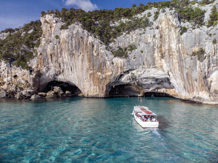 From Cala Gonone: Grotta del Bue Marino Boat Trip - The Sea Ox Story, Monk Seals, and Why the Fauna Talk Adds Depth
