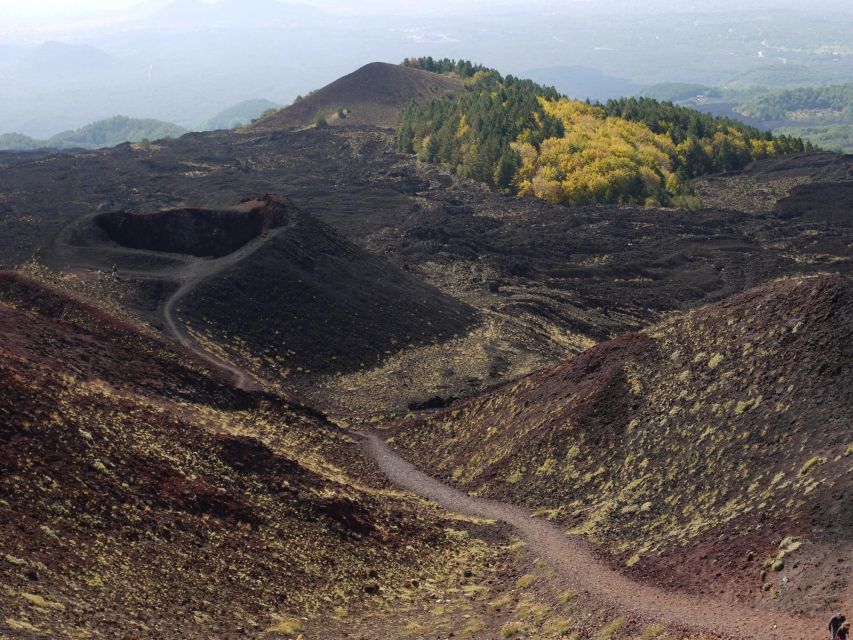 From Catania: Etna tour by Panoramic Bus - Etna Sud viewpoint at 1,900 meters: first eruption-era perspective