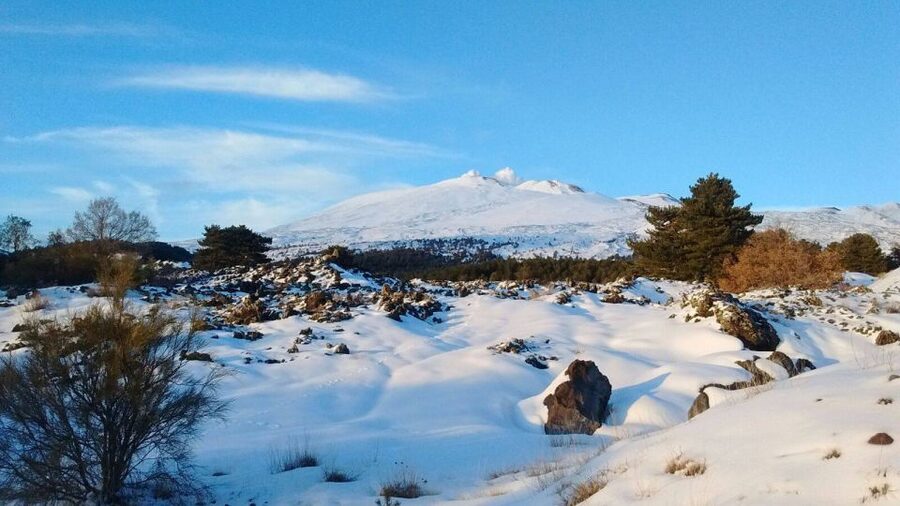 From Catania: Guided Tour of Mount Etna and Taormina - Quick hits before you go
