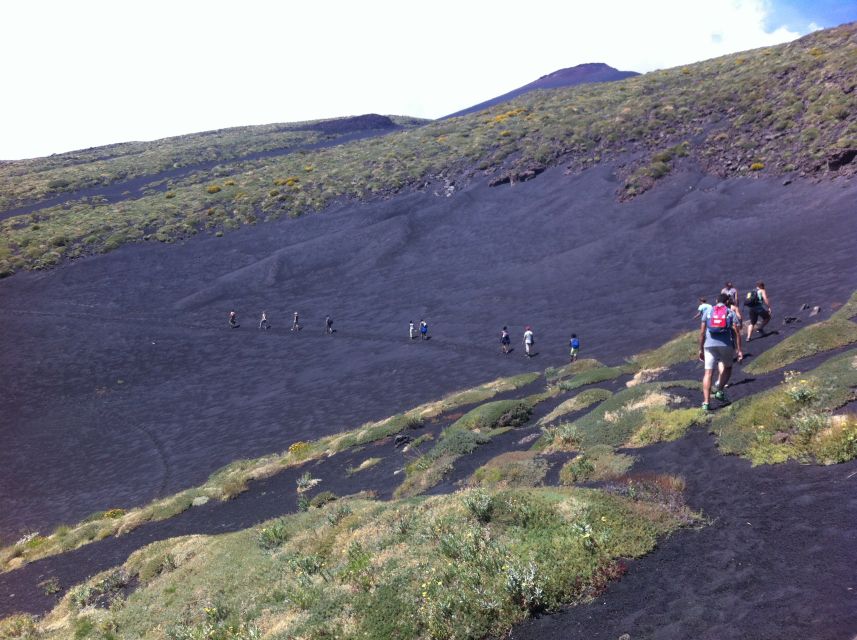 From Catania: Mount Etna Half-Day Tour and Wine Experience - Who this tour fits best (and who should choose a different day)