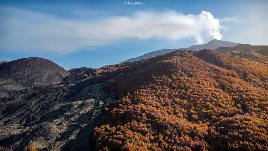 From Catania: Mt. Etna, Wine and Alcantara Tour - Key things that make this day trip click