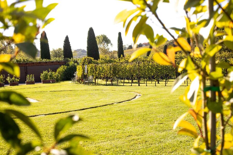 From Florence: Chianti Half-Day Afternoon Tour - Getting to Villa Costanza: Tram T1.3 and the Green-Scarf Match