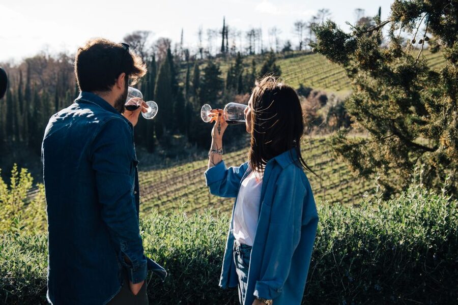 From Florence: Chianti Hills Half-Day Tour with Wine Tasting - Key moments worth planning for