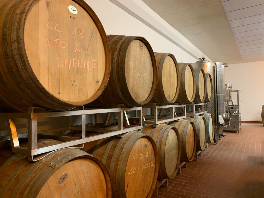 From Florence: Chianti Hills Half-Day Tour with Wine Tasting - Should you book this Chianti Hills half-day tour from Florence?