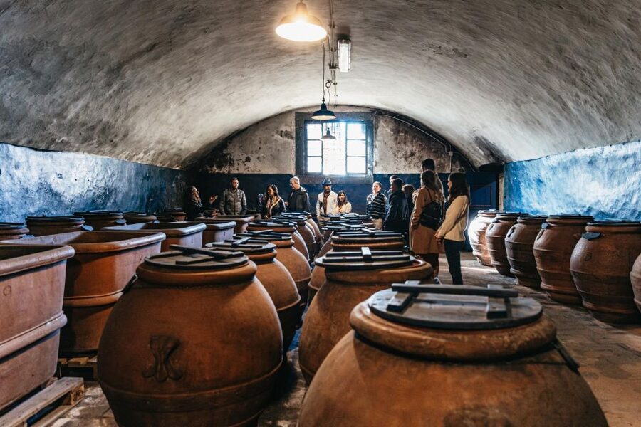 From Florence: Chianti Wine and Food Tasting Safari - Key Things You’ll Notice on This Chianti Safari