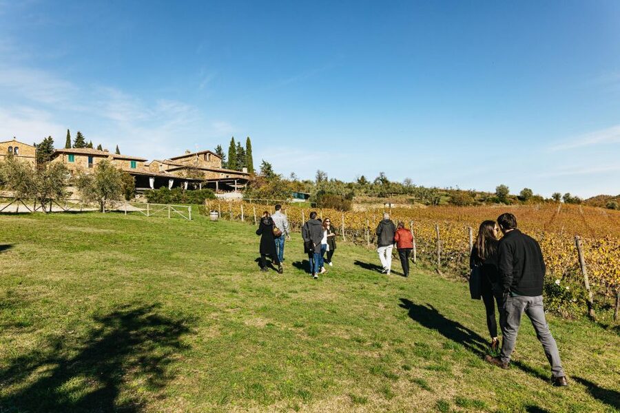 From Florence: Chianti Wine and Food Tasting Safari - Practicalities That Matter: Comfort, Timing, and What to Bring