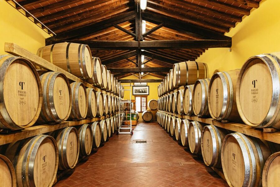 From Florence: Chianti Wine and Food Tasting Safari - The Wine and Food Pairing: How 8 Tastings Feels in Real Life
