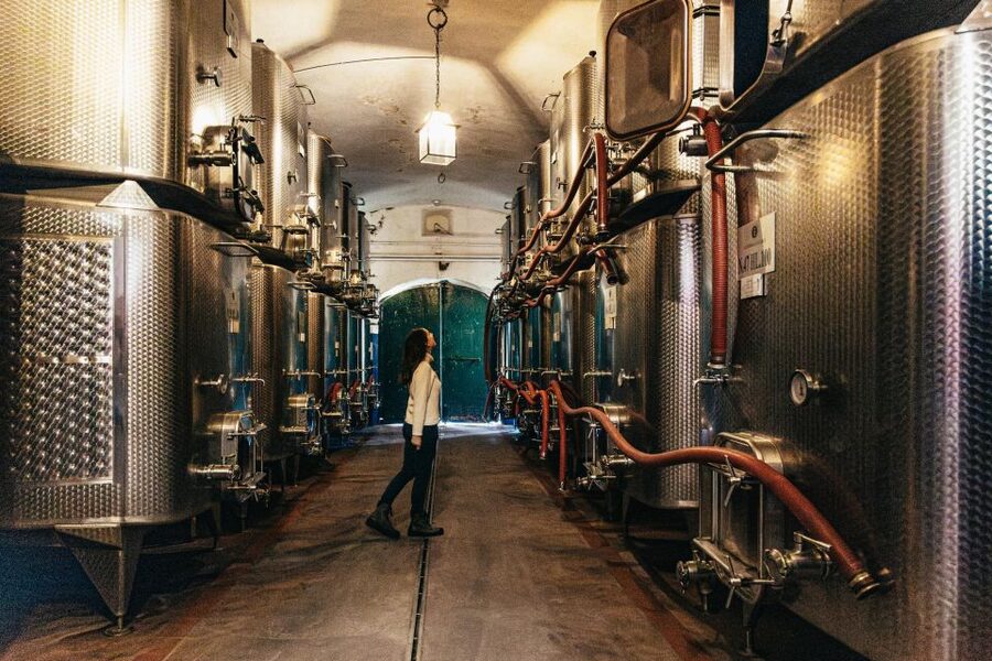 From Florence: Chianti Wine and Food Tasting Safari - Guides and Drivers: The Difference Between a Good Trip and a Great Day