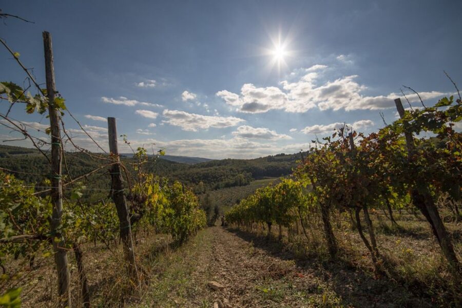 From Florence: Chianti Wine Tastings at Sunset Day Trip - Key highlights worth getting excited about