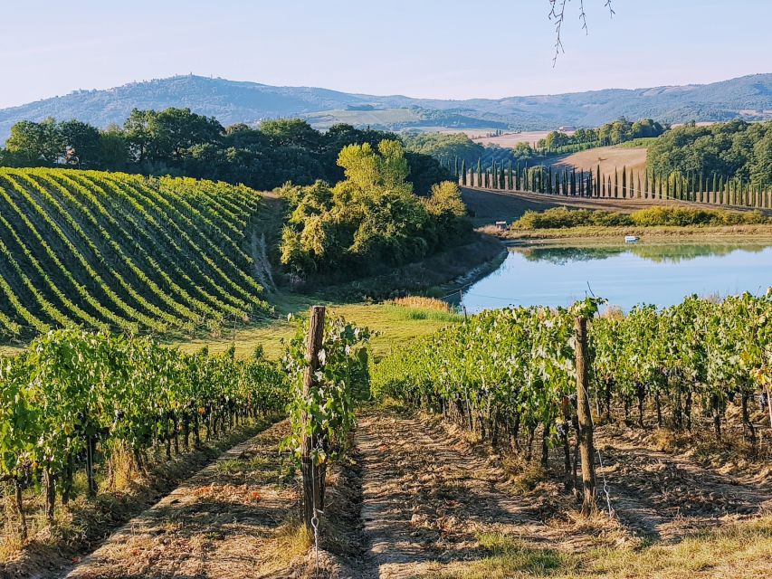 From Florence: Chianti Wine Tastings at Sunset Day Trip - Getting out of Florence: comfort, timing, and an easy start
