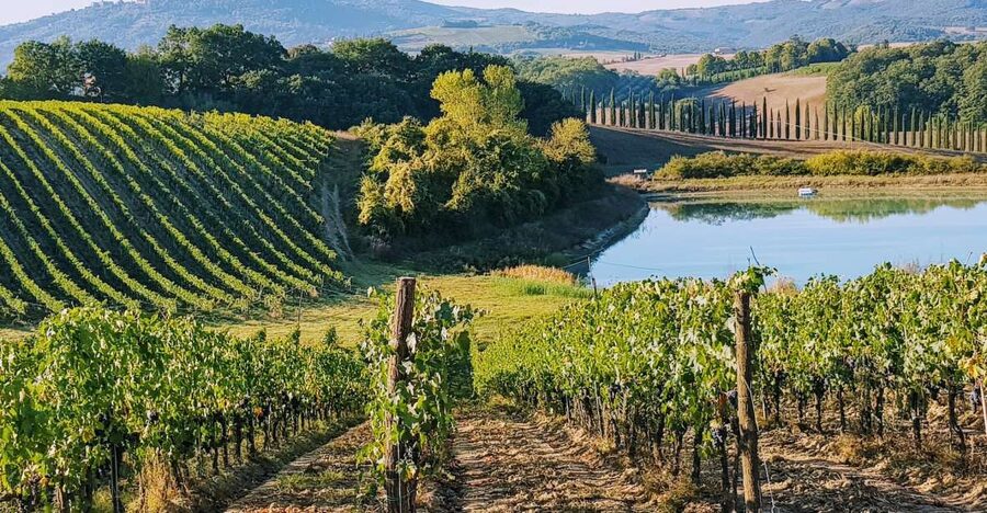 From Florence: Chianti Wine Tastings at Sunset Day Trip - Greve in Chianti, Montefioralle, and Passignano: the photo stops that sell the region