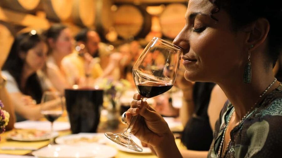 From Florence: Chianti Wine Tour with Tastings - Price and Value at About $62.63 Per Person