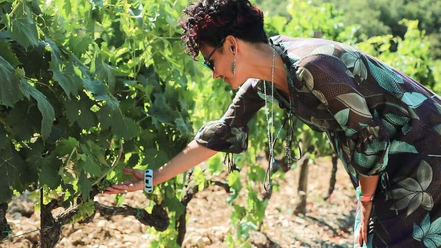 From Florence: Chianti Wine Tour with Tastings - The Real Hook: Chianti Roads, Then Two Proper Tastings