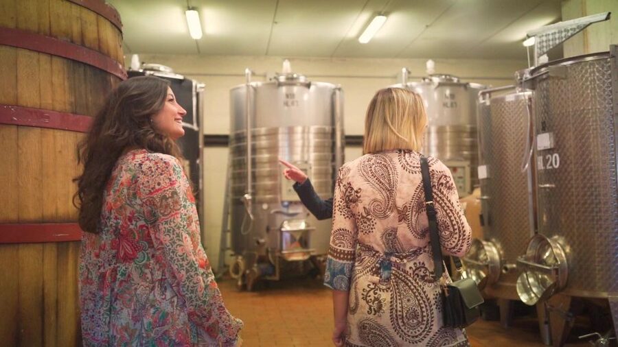 From Florence: Chianti Wine Tour with Tastings - Stop 2: A Family-Run Organic Winery With Vineyard Walk and Cellar Tour