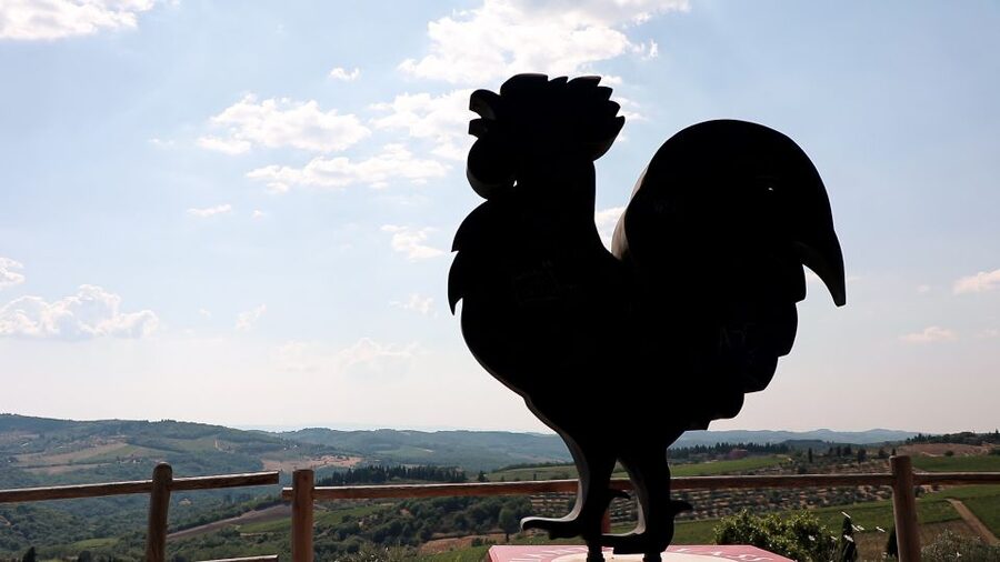 From Florence: Chianti Wine Tour with Tastings - What You’ll Taste: Chianti Styles Plus Local Tuscan Products