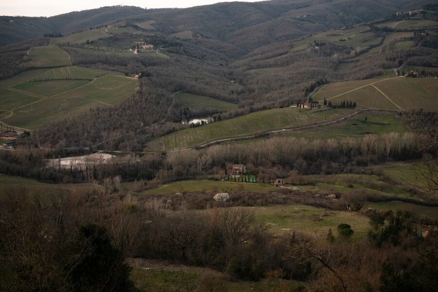 From Florence: Private Chianti Hills Tour with Tasting - Stop 1 in Radda: a wine shop tasting with real bites