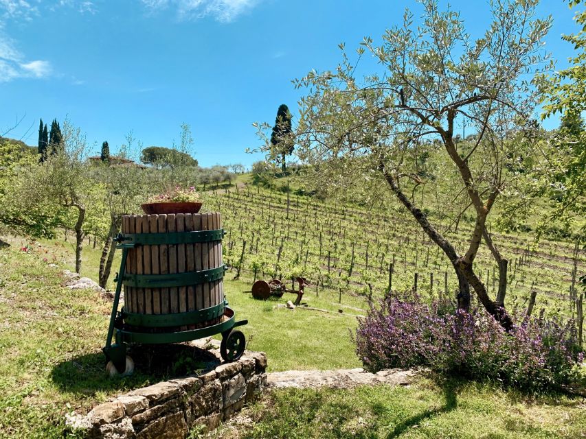 From Florence: Private Chianti Hills Tour with Tasting - Radda in Chianti free time: shop smart, walk slow
