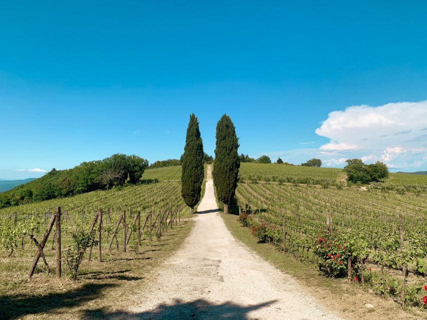 From Florence: Private Chianti Hills Tour with Tasting - What exactly you eat and drink on this tour