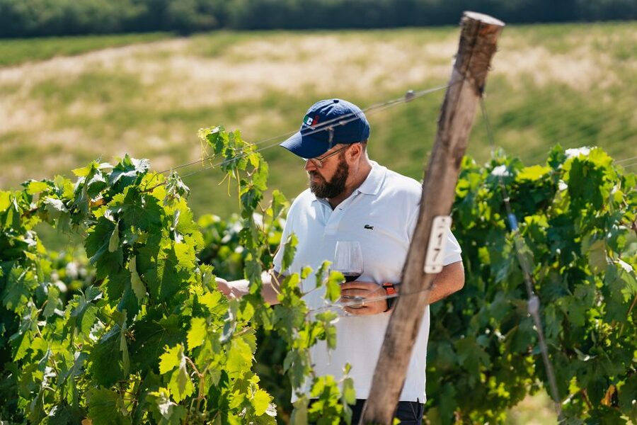 From Florence: Small Group Wine Tasting Tour to Tuscany - Quick Take: The Best Bits in 30 Seconds