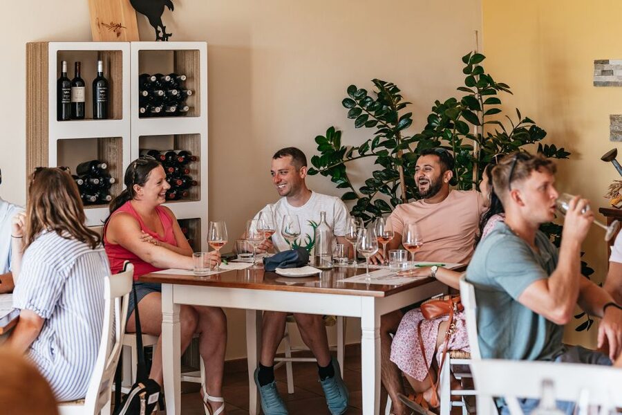 From Florence: Small Group Wine Tasting Tour to Tuscany - How the Guide Makes or Breaks the Day