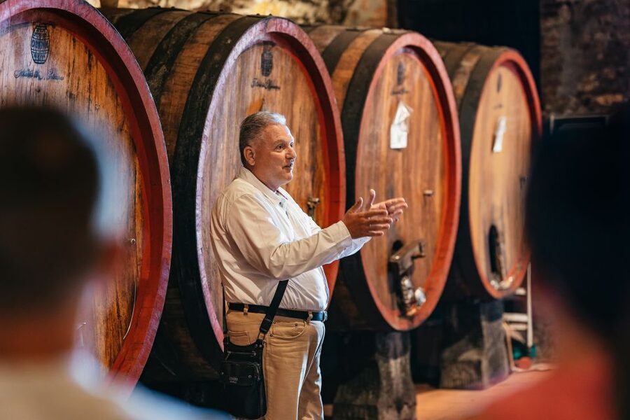 From Florence: Small Group Wine Tasting Tour to Tuscany - Food Pairings: Why the Antipasto Table Is Part of the Lesson