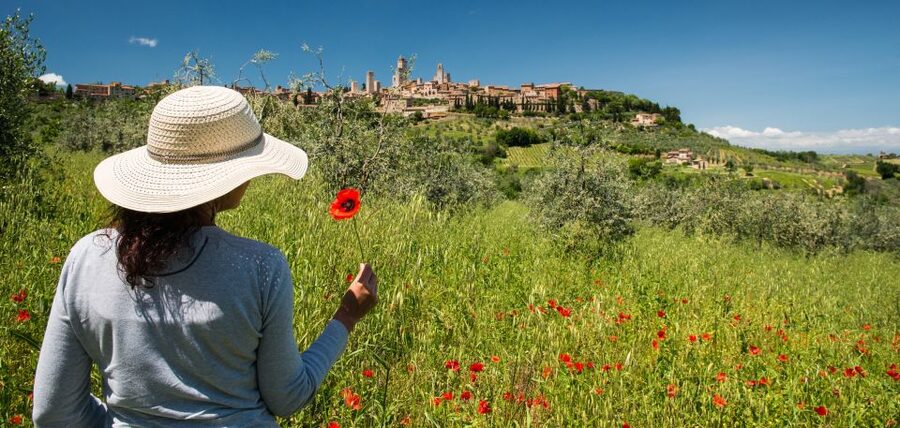 From Florence: Tuscany Highlights Full-Day Tour - Tuscany highlights from Florence: a fast, focused taste of three cities