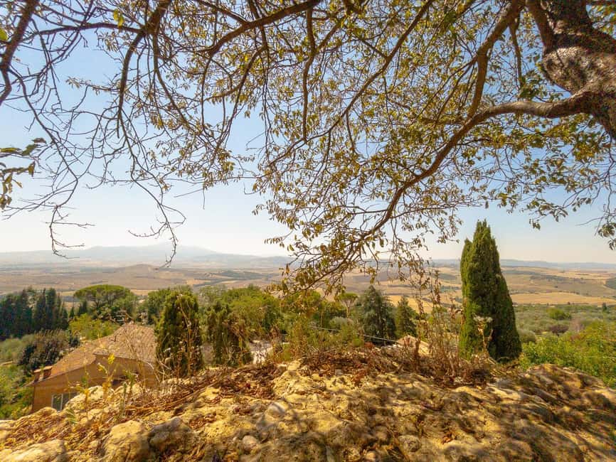 From Florence: Val D'Orcia Tour with Wine Tasting - Pienza: pecorino cheese tasting and Renaissance streets