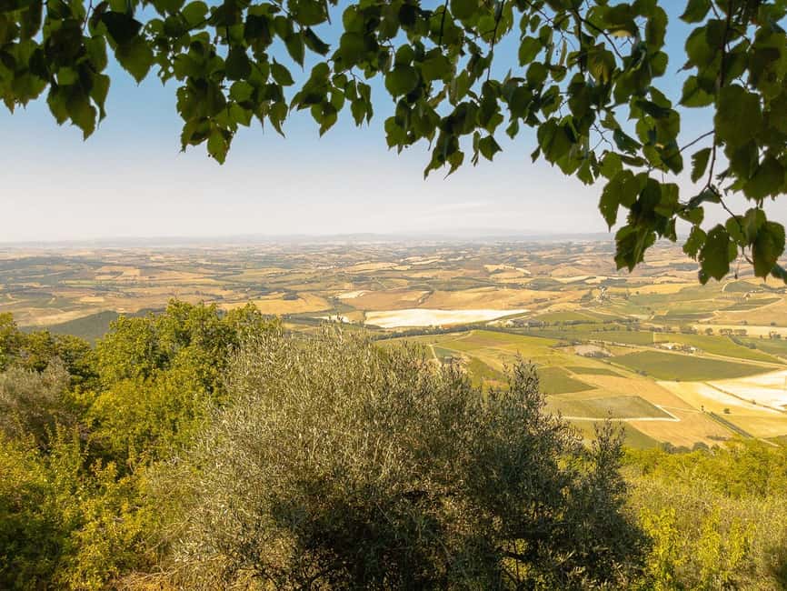 From Florence: Val D'Orcia Tour with Wine Tasting - Montepulciano: Vino Nobile, cellar tours, and New Moon filming spots
