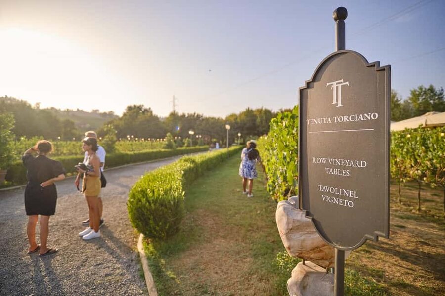 From Florence: Wine Tasting and Dinner in Chianti Vineyards - Wine tasting that actually teaches you how to taste