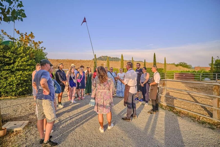From Florence: Wine Tasting and Dinner in Chianti Vineyards - Should you book the Florence to Chianti wine tasting and dinner?