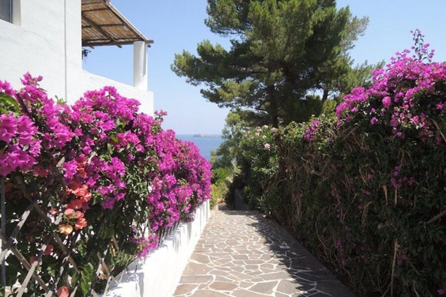 From Lipari: Panarea and Stromboli Cruise with Stops - Should you book the Lipari to Panarea and Stromboli cruise?