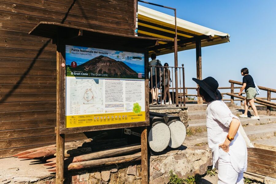 From Naples: All-Inclusive Mount Vesuvius Half-Day Tour - Who This Vesuvius Half-Day Shuttle Suits Best